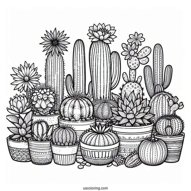 Assorted Cactus And Succulents In The Desert