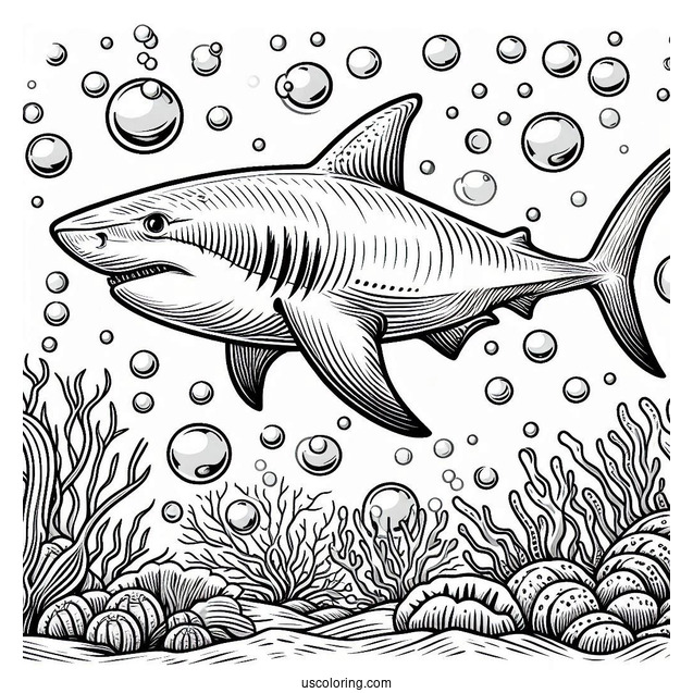 Great White Shark Coloring Page With Bubbles