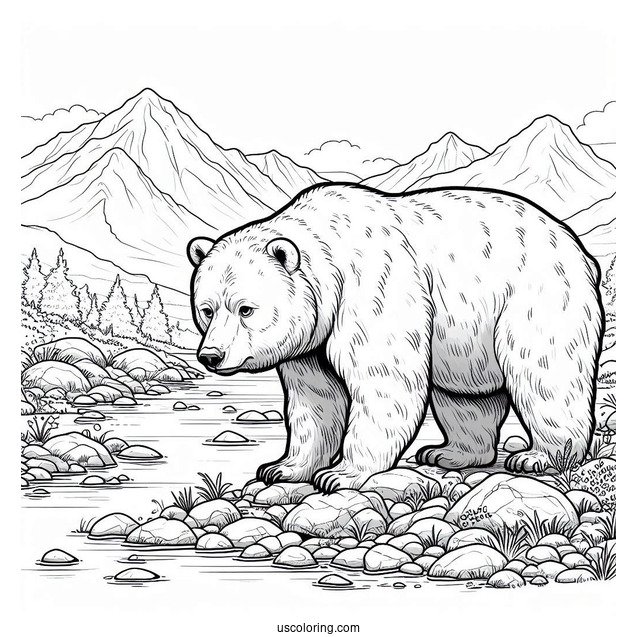 Bear Coloring Page Walking In Rocky Terrain