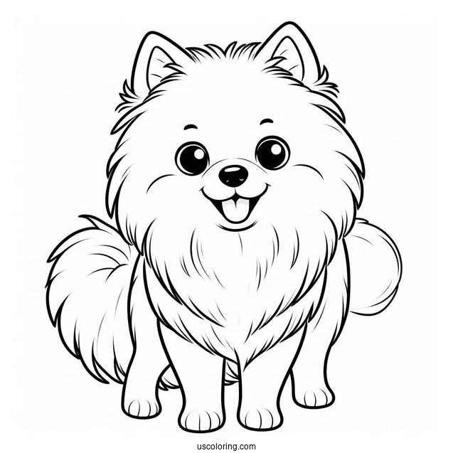 American Eskimo Dog To Color For Preschoolers