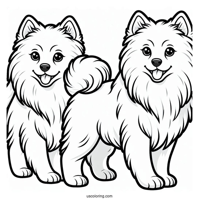 American Eskimo Dog To Color For Preschoolers