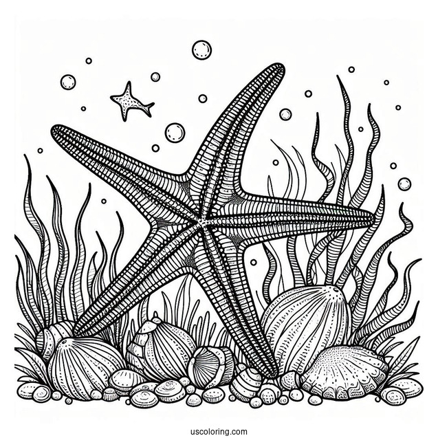 Detailed Starfish Coloring Page Underwater