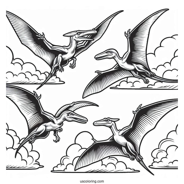 Four Adult Pterodactyl Coloring Page In The Sky