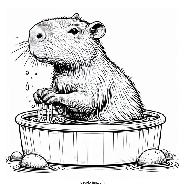 Realistic Capybara Coloring Page Taking A Bath