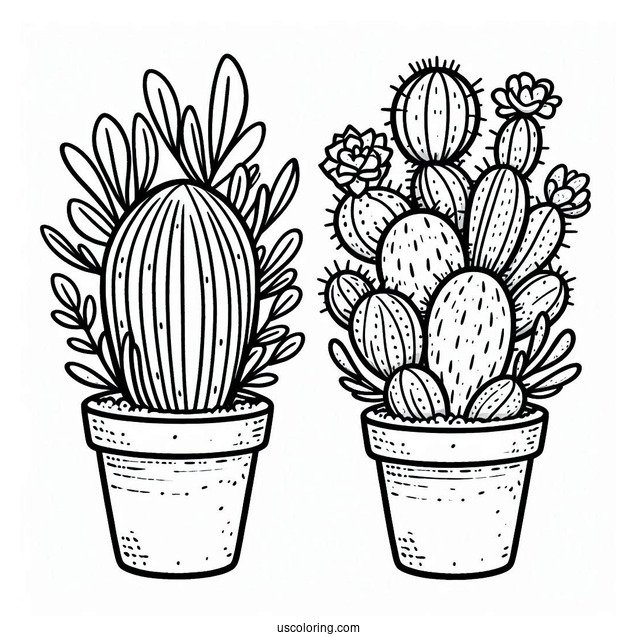 Plants Vs Cactus Coloring Page