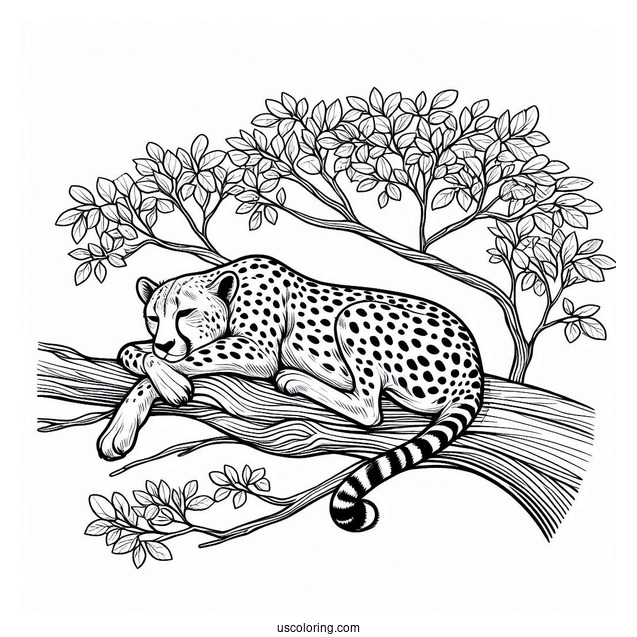 Big Cheetah Coloring Page Resting On A Tree Branch