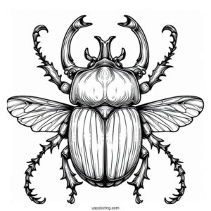 Atlas Beetle Coloring Page Outline For Kids