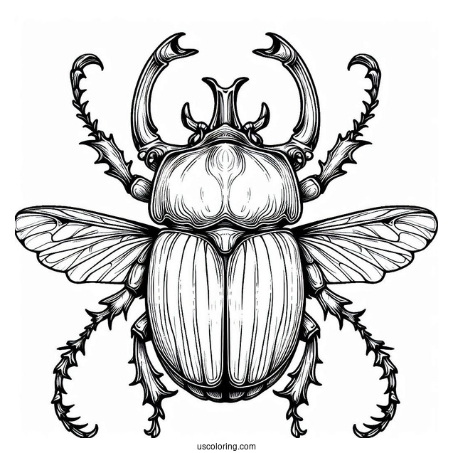 Atlas Beetle Coloring Page Outline For Kids