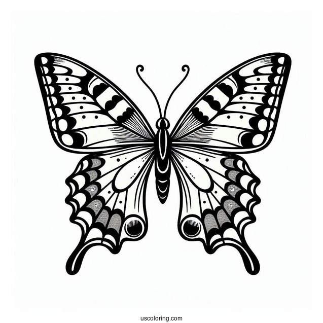 Simple Coloring Sheet Of Swallowtail Butterfly