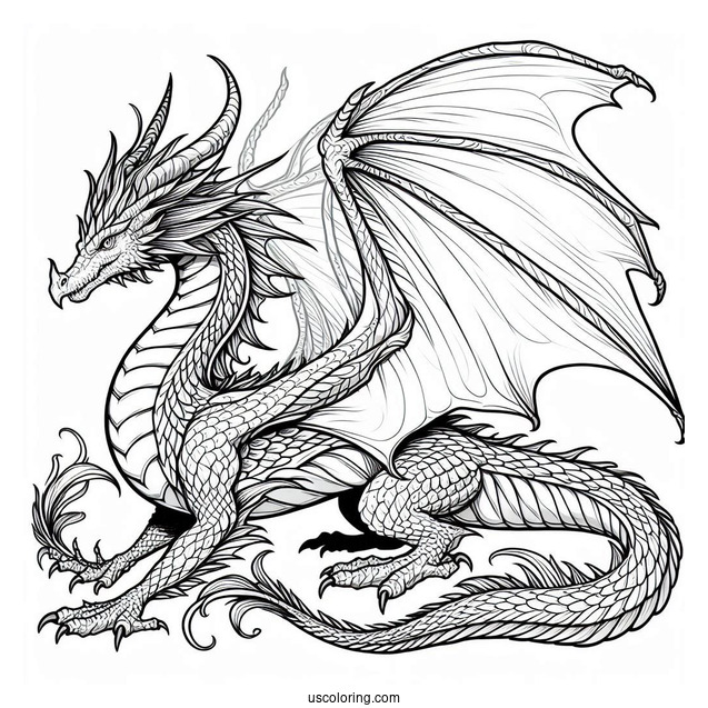 Mythical Dragon With Wings Spread