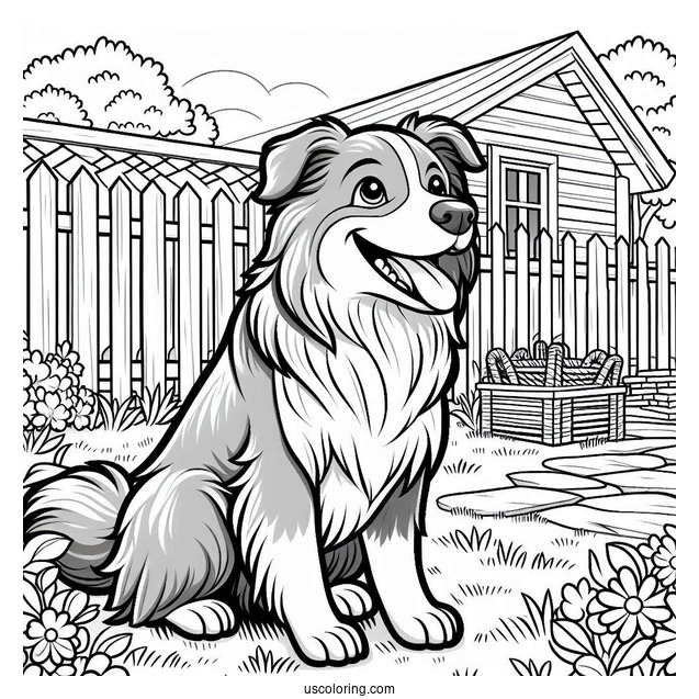 Border Collie Dog In Backyard Coloring Sheet