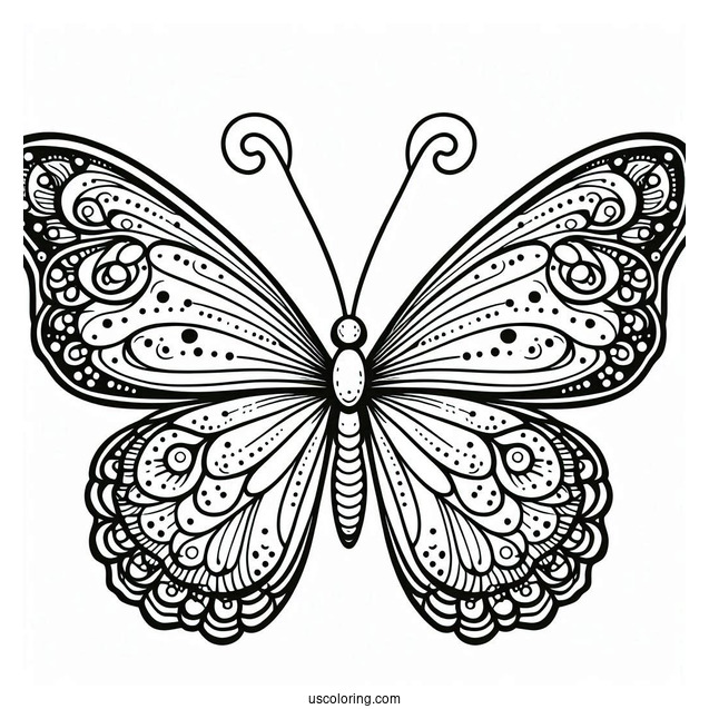 Butterfly With Large Wings Coloring In For Kids