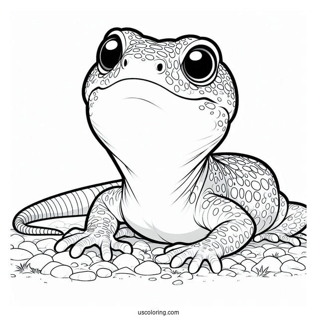 Lizard Coloring Page Looking Up From Ground