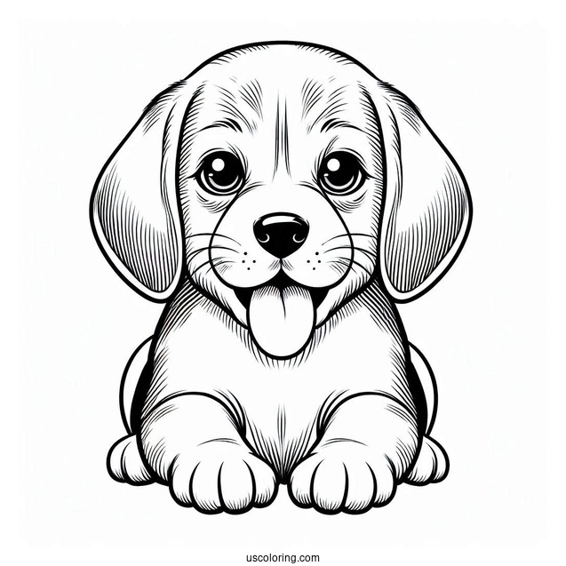 Beagle Puppy With Tongue Out Coloring In