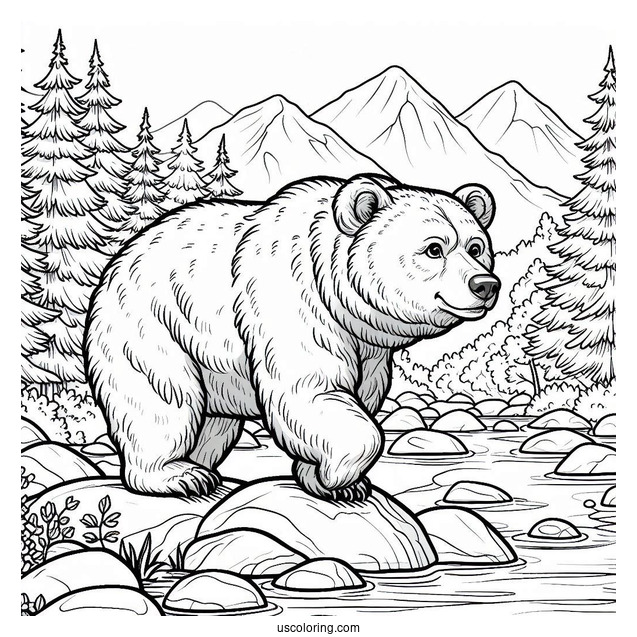 Bear Coloring Page Walking In Rocky Terrain