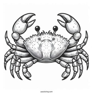 Male Mud Crab Coloring Page