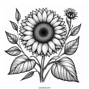 Detailed Sunflowers For Coloring