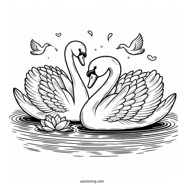 Two Adults Swan Coloring Page Swimming