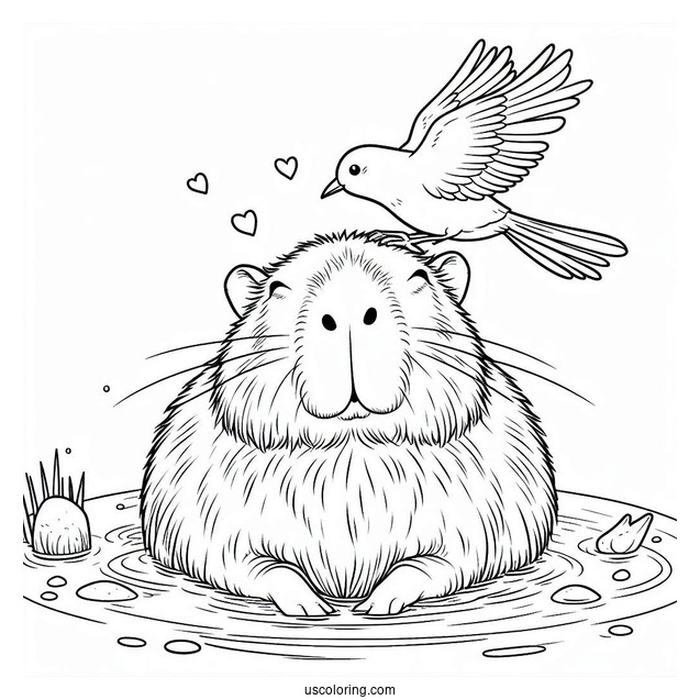 Bathing Capybara Coloring Page With Bird On Its Head