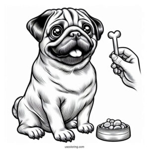 Pug Dog Begging For a Treat