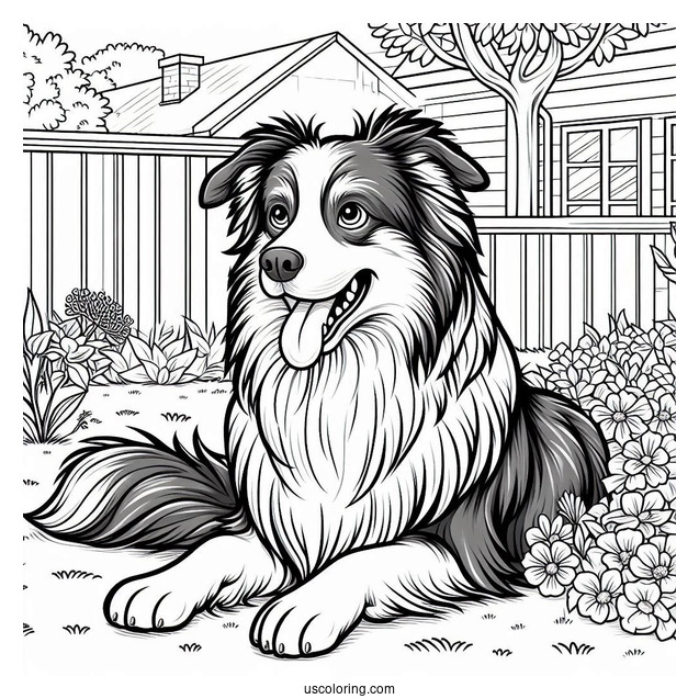 Border Collie Dog In Backyard Coloring Sheet