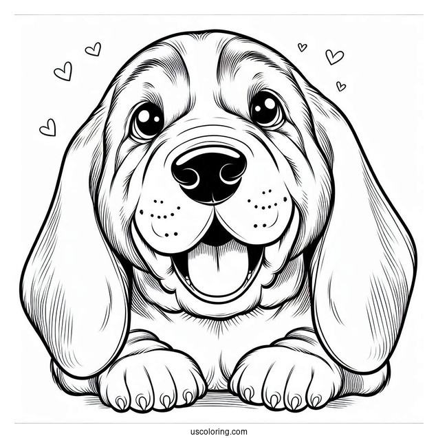 Easy Coloring Sheet Of Basset Smiling