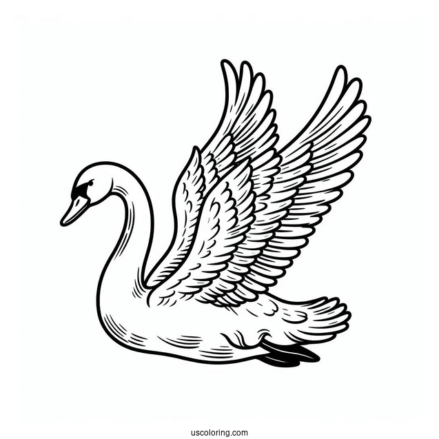 Swan Coloring Page Flying