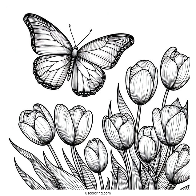 Realistic Outline Of Butterfly Hovering Over Tulips
