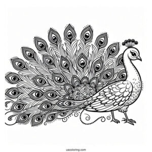 Cartoon Peacock Coloring Page Showing Off Fancy Tail Feathers For Kids