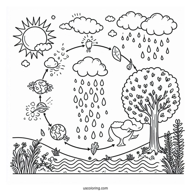 Rain Coloring Page Of Water Cycle Diagram