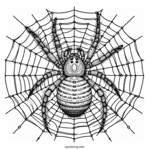 Big Spider On Web Coloring Page
