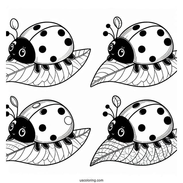 Ladybug Beetle Coloring Page On A Leaf For Kids