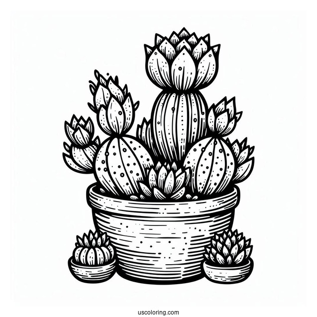 Modern Succulent Plant Coloring Sheet