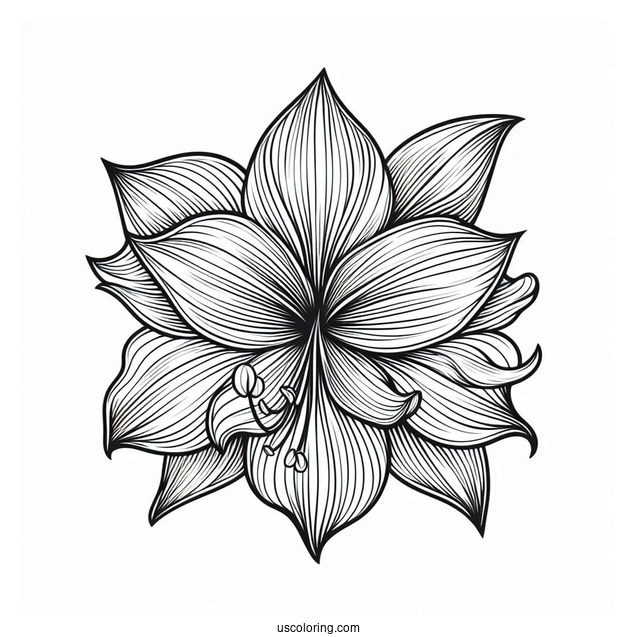 Flower Coloring Pages Of Beautiful Amaryllis Mandala