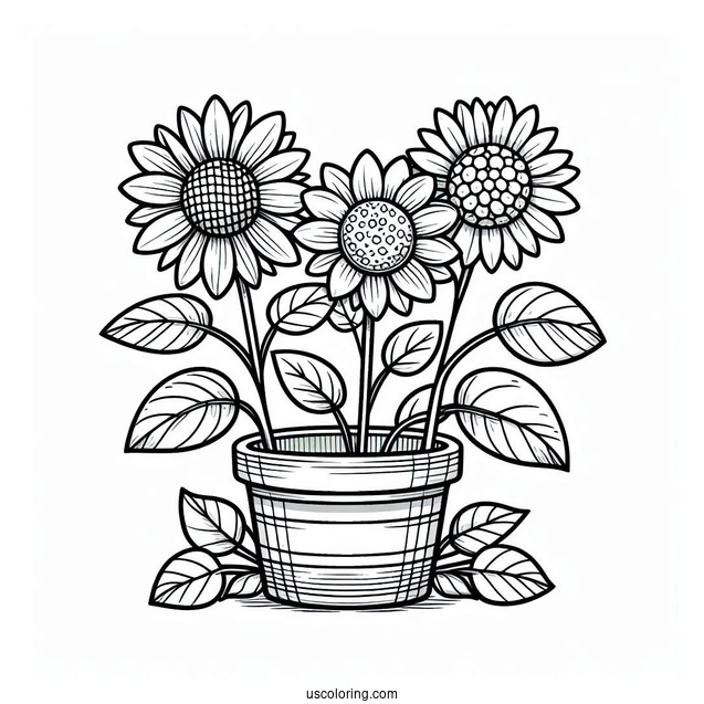 Flower Coloring Pages Of Three Happy Sunflowers In Garden Pot