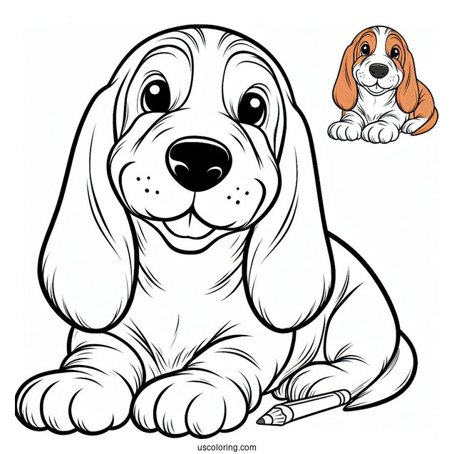 Easy Coloring Sheet Of Basset Smiling