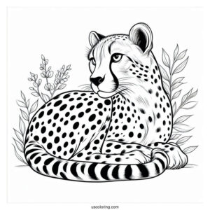 Simple Cheetah Coloring Page Looking Sideways