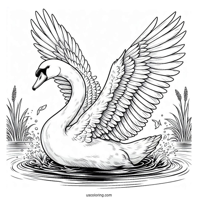 Realistic Adult Swan Coloring Page Slapping Wings In Pond