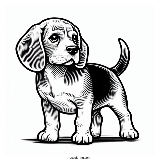Alert Beagle Coloring Page