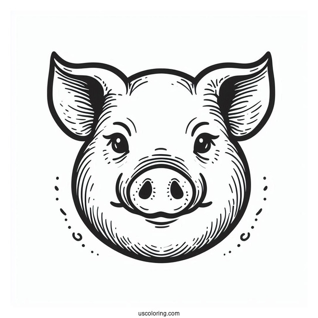 Simple Outline Of a Pigs Head To Color