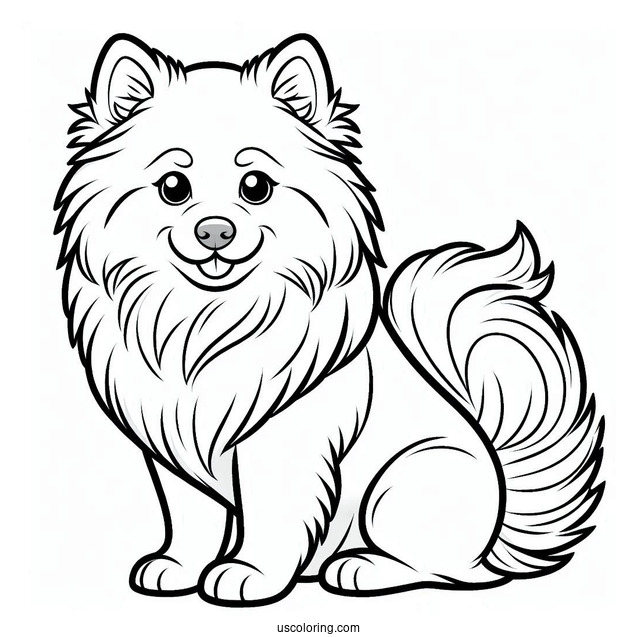 American Eskimo Dog To Color For Preschoolers