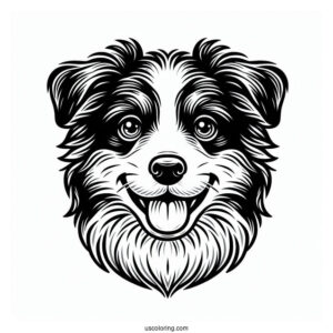 Playful Border Collie Puppy Face