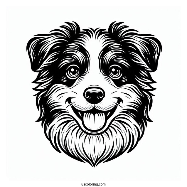 Playful Border Collie Puppy Face