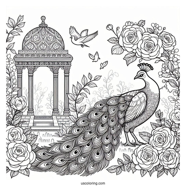 Peacock Coloring Page in Blooming Rose Garden with Architectural Details