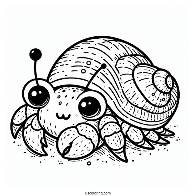 Simple Hermit Crab Coloring Page