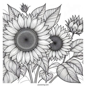 Ultra Fine Sunflower Coloring Sheet