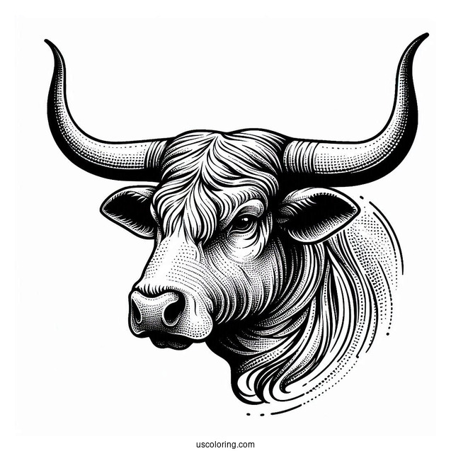 Texas Longhorn Bullhead Coloring Sheet