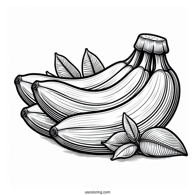 Cavendish Bananas Coloring Page