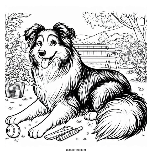 Border Collie Dog In Backyard Coloring Sheet