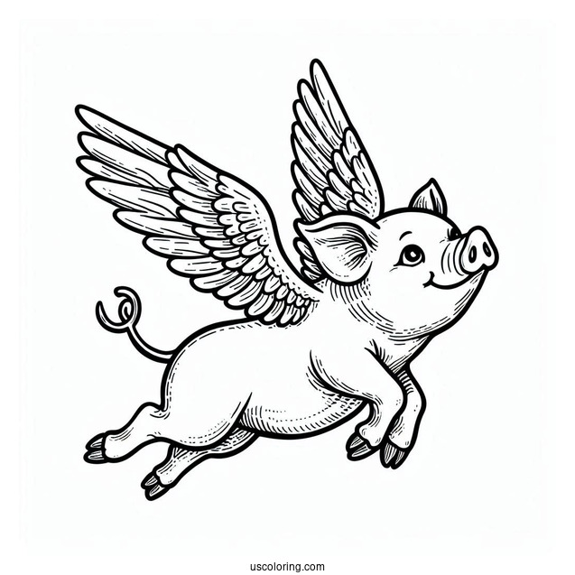 Flying Pig With Wings To Color